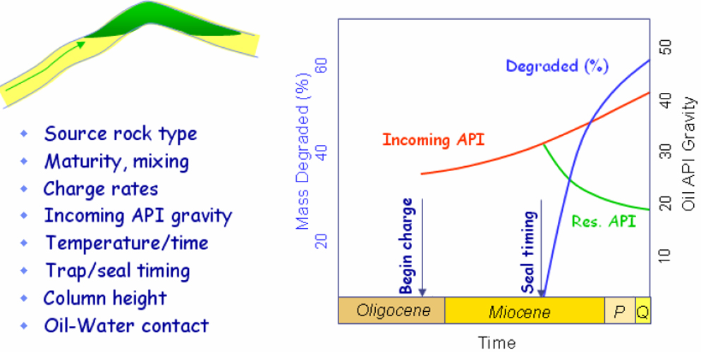 Figure 4. Factors affecting fluid API gravity at the reservoir. The
