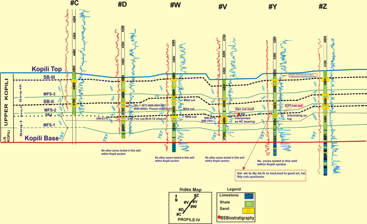 fig11