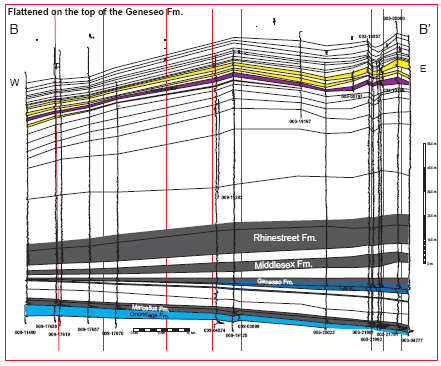 fig11