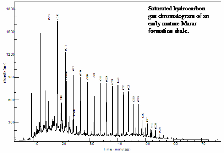 Figure 4a