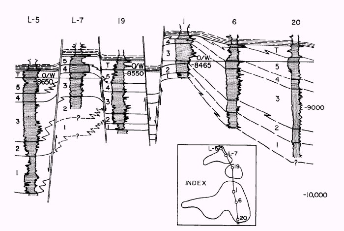 sanfo_23.jpg (76759 bytes)